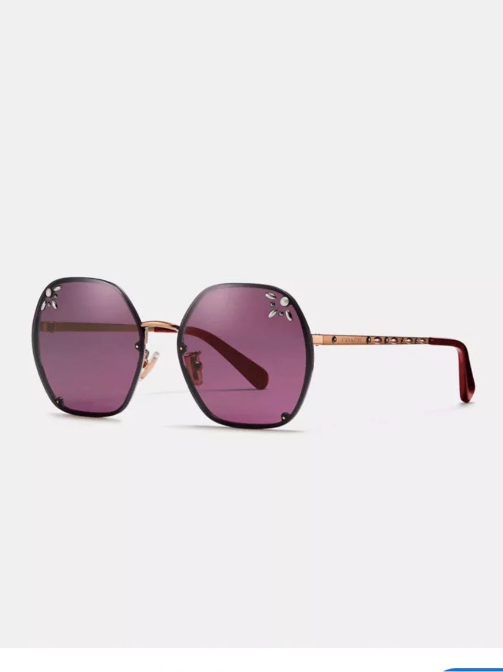 Coach Prairie Rivets Hexagon Sunglasses - Picture 5 of 10
